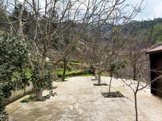 Η σπηλιά του Θουκυδίδη - 5