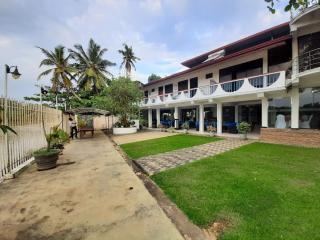 Southern Crocodile - Gaga Addara Hotel - 8