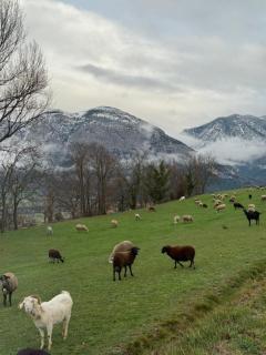 Apartamento dúplex con encanto a 30 Kilómetros de Andorra - 4