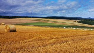 Ferienhaus VILLA ZAUBERBLICK am Rennsteig Frankenwald FREISTEHEND naturnah HUNDEFREUNDLICH eingezäunt - 6