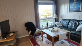 Leilighet i gangavstand til strand, sentrum og fjellet - 9