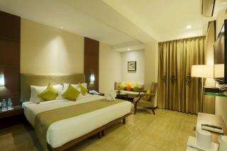 Hotel Ginger Palace Delhi Airport - 4