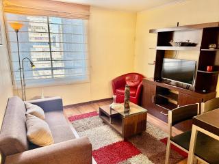 Depto a pasos de Lastarria y Bellas Artes - 0