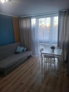 Apartament Aneta - 5