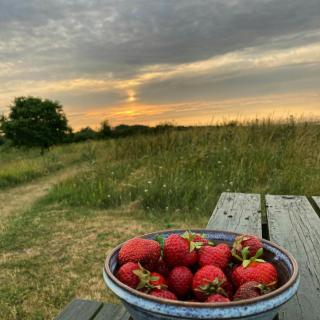1960S Family Home Near St Sjørup Beach - 7