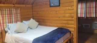 Texarkana KOA Journey - 5