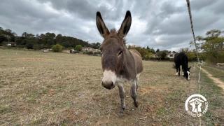 Chateau st-auriol - le caviste - 5