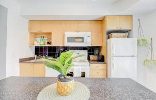 Sunny Studio in the Heart of Downtown - 6