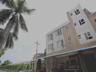 Collection O Gold Star - 9