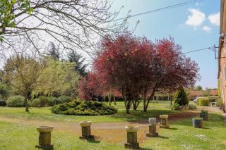 Chambres D'hôtes - Le Marlas - 4