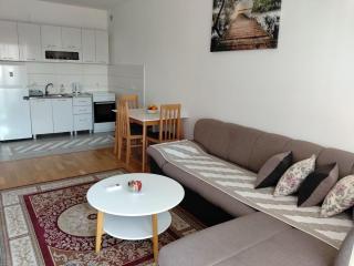 AGA Apartman Podgorica - 1