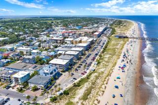 Tybee Turtle - 8