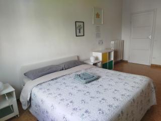 Treehouse - Spacious Private Rooms in Central Pisa Near Station & Airport - 7