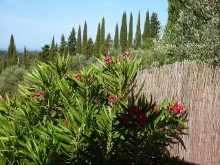 Rifugio Guardistallo - 3