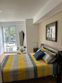 New, spacious, bright view of the Museo del Chopo - 7