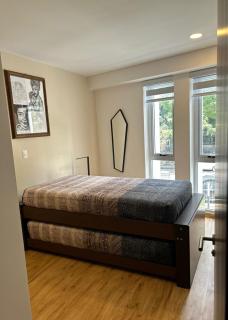 New, spacious, bright view of the Museo del Chopo - 6