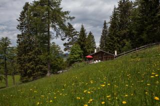 Berghütte Sommerstall - Redagno - 5