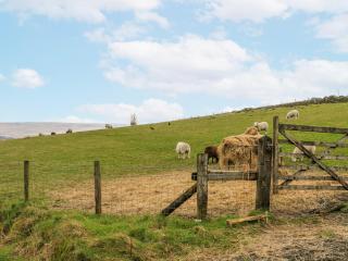 2 Manorhouse Farm - 8
