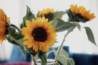 COZY&DELUX Family apartment 3 min from Metro - 2