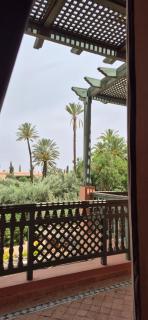 Chic Palm Grove Apartment Pool View - 1