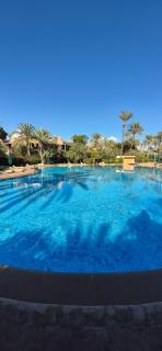 Chic Palm Grove Apartment Pool View - 3