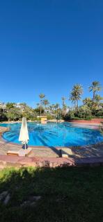 Chic Palm Grove Apartment Pool View - 4