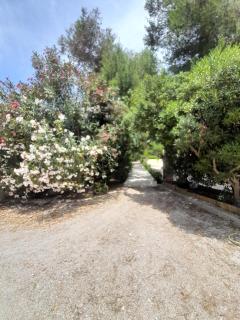 Casetta MaCa fronte mare - 7