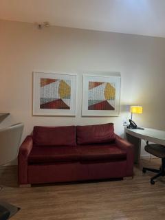 Flat- apartamento in Alphaville Barueri - 4