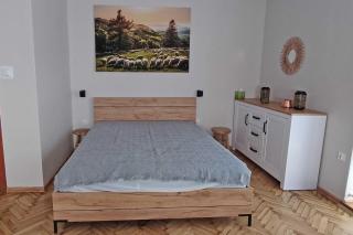 ApartSerwis Aparatament Owczywiście - 7