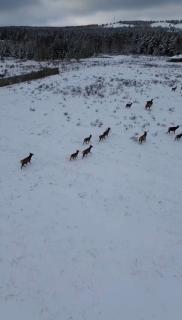 Berkutty Burabay Park - 4