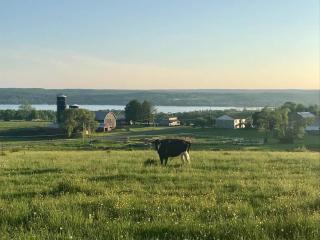 Meadow View Stay at Chautauqua Lake • 1.5 Acres - 8