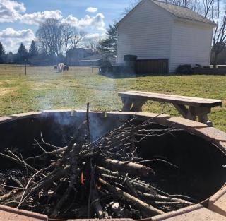 Meadow View Stay at Chautauqua Lake • 1.5 Acres - 7