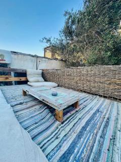 Bougainvillea purple house - 5