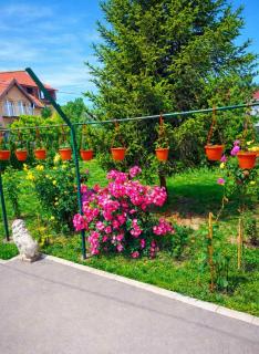 APARTMAN OAZA 24 - 2