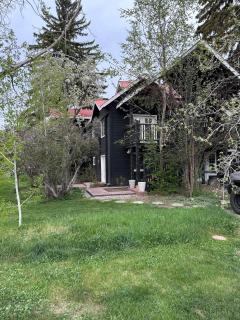 The Dandelion SV-Floret. B&B, Reimagined - 1