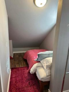 The Dandelion SV-Wish. B&B, Reimagined - 4