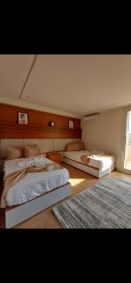 Host in downtown - 2