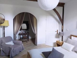 Appartement 2 chambres & Studio cosy dans ferme de caractère - grand jardin au calme proche Canal du Midi - billard & barbecue - 4