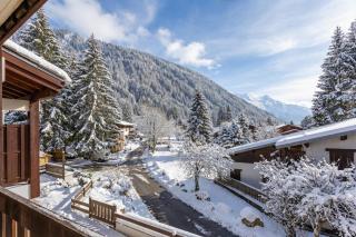 Résidence La Verte 12 ski in ski out - Happy Rentals - 8