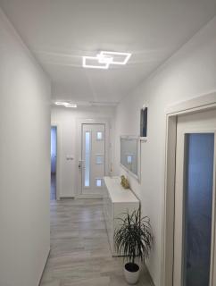 Yes Boss House Divcibare - 1