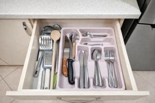 The Palm of Eden - 1