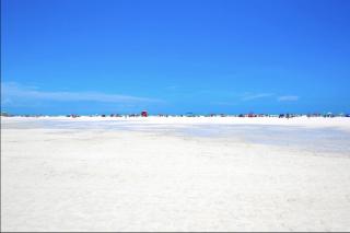 Sunny Getaway Near Anna Maria, IMG & LWR, Benderson Park - Bradenton - 7