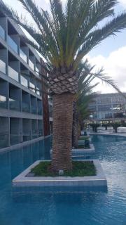 Apartamento no Resort Porto 2 life - 7