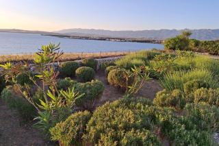 Family-friendly apartments with swimming pool Povljana, Pag - 25291 - 4