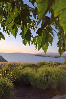 Family-friendly apartments with swimming pool Povljana, Pag - 25291 - 3