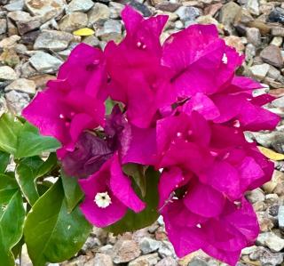 Tucson ranch home with private pool, hot tub, gourmet kitchen, & patio - 1