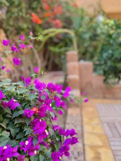 Riad Dar Zaouia - 4