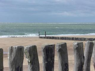 Home Zoutelande near Beach - 8