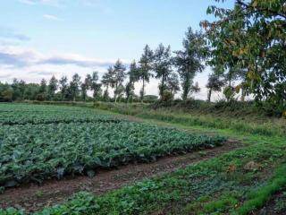 Apartment in Vrouwenpolder near sea - 6
