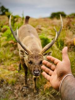 Devilmountain kabana - 9